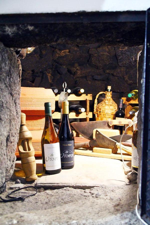 Quinta Da Utopia 카스텔로데비데 외부 사진