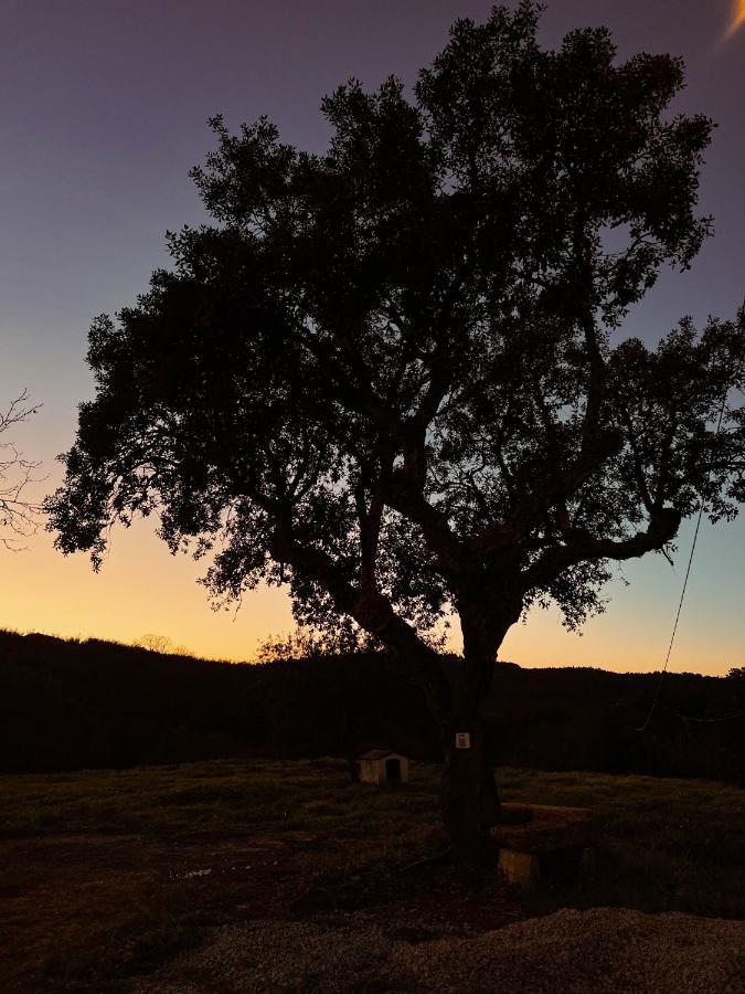 Quinta Da Utopia 카스텔로데비데 외부 사진